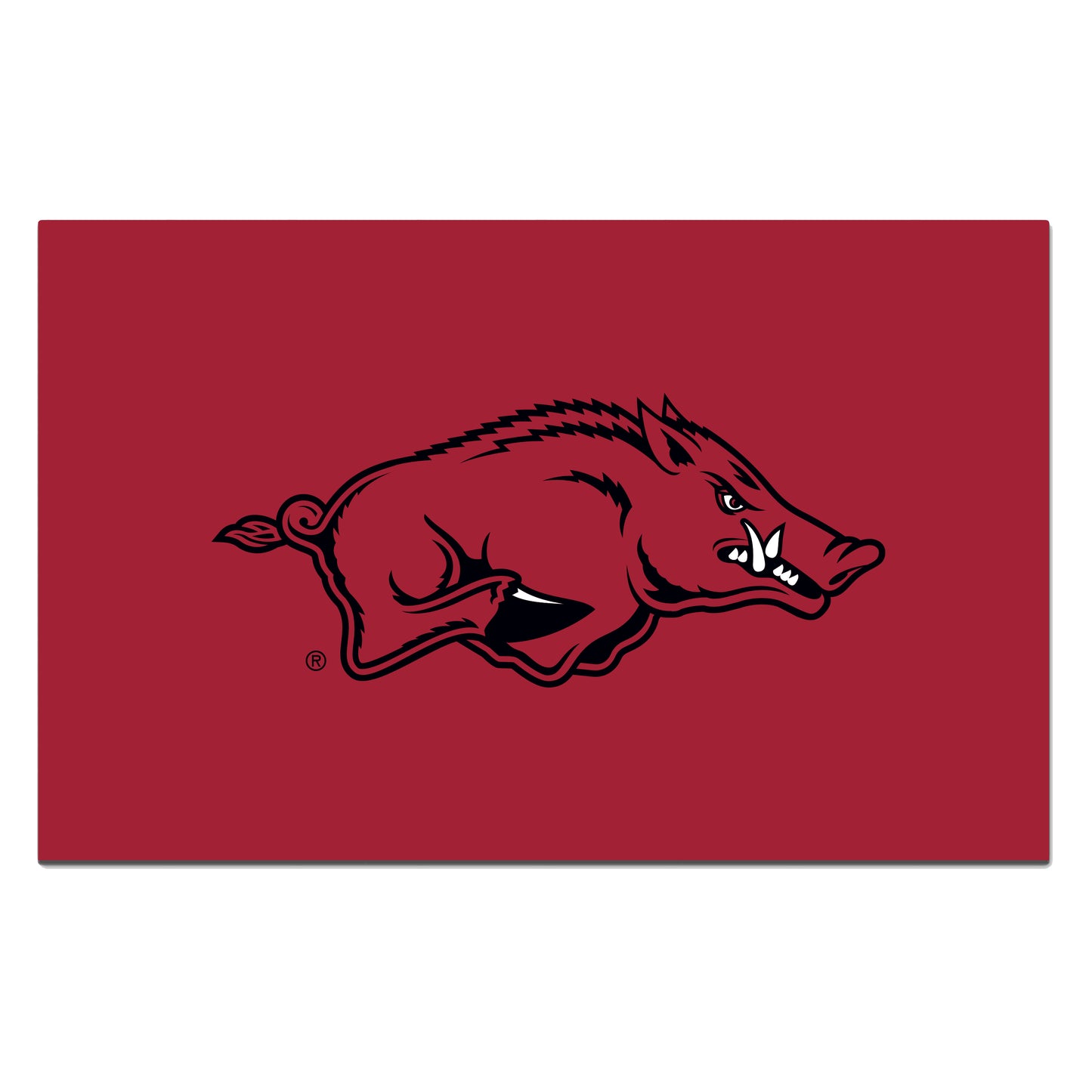 University of Arkansas ROOKIE