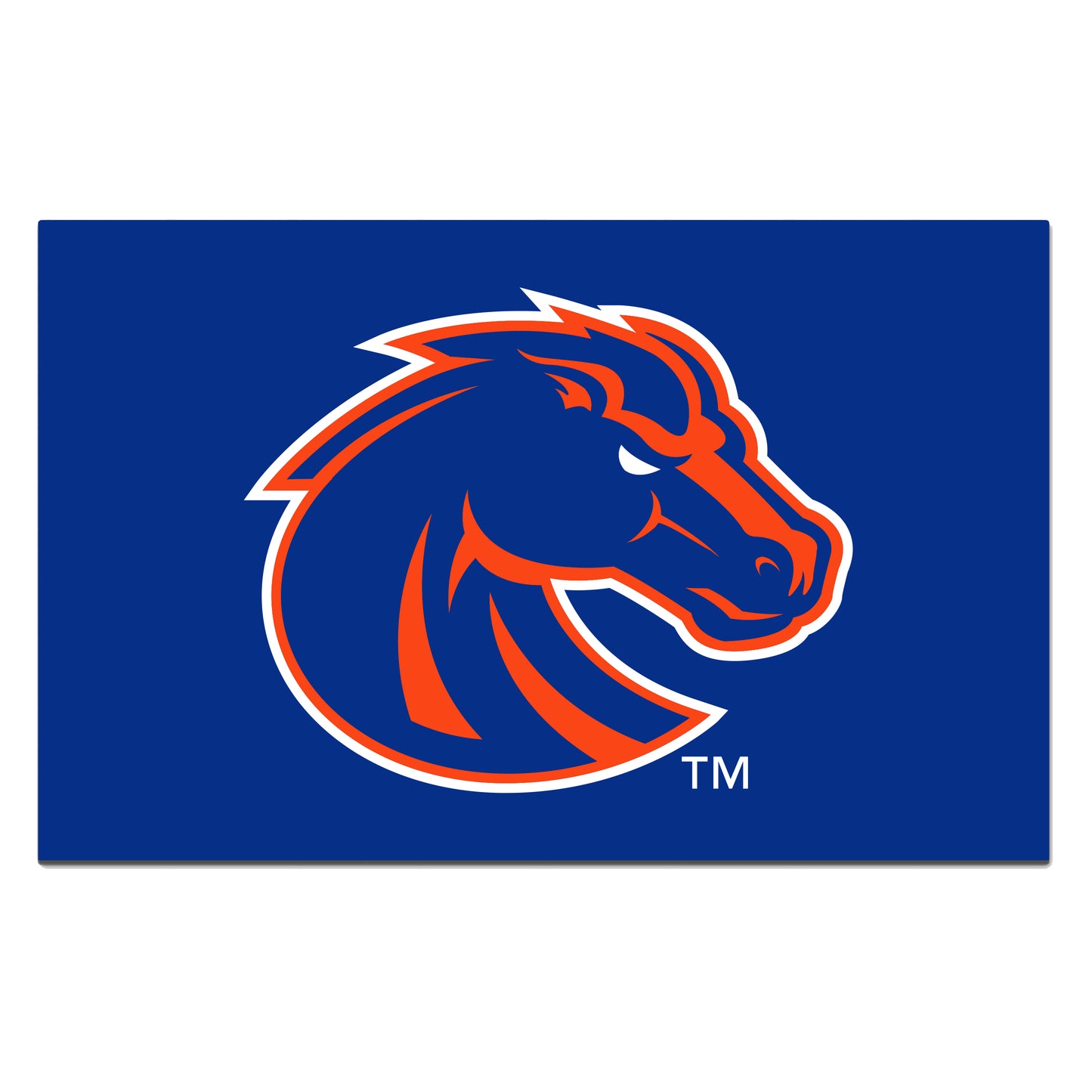 Boise State University ROOKIE
