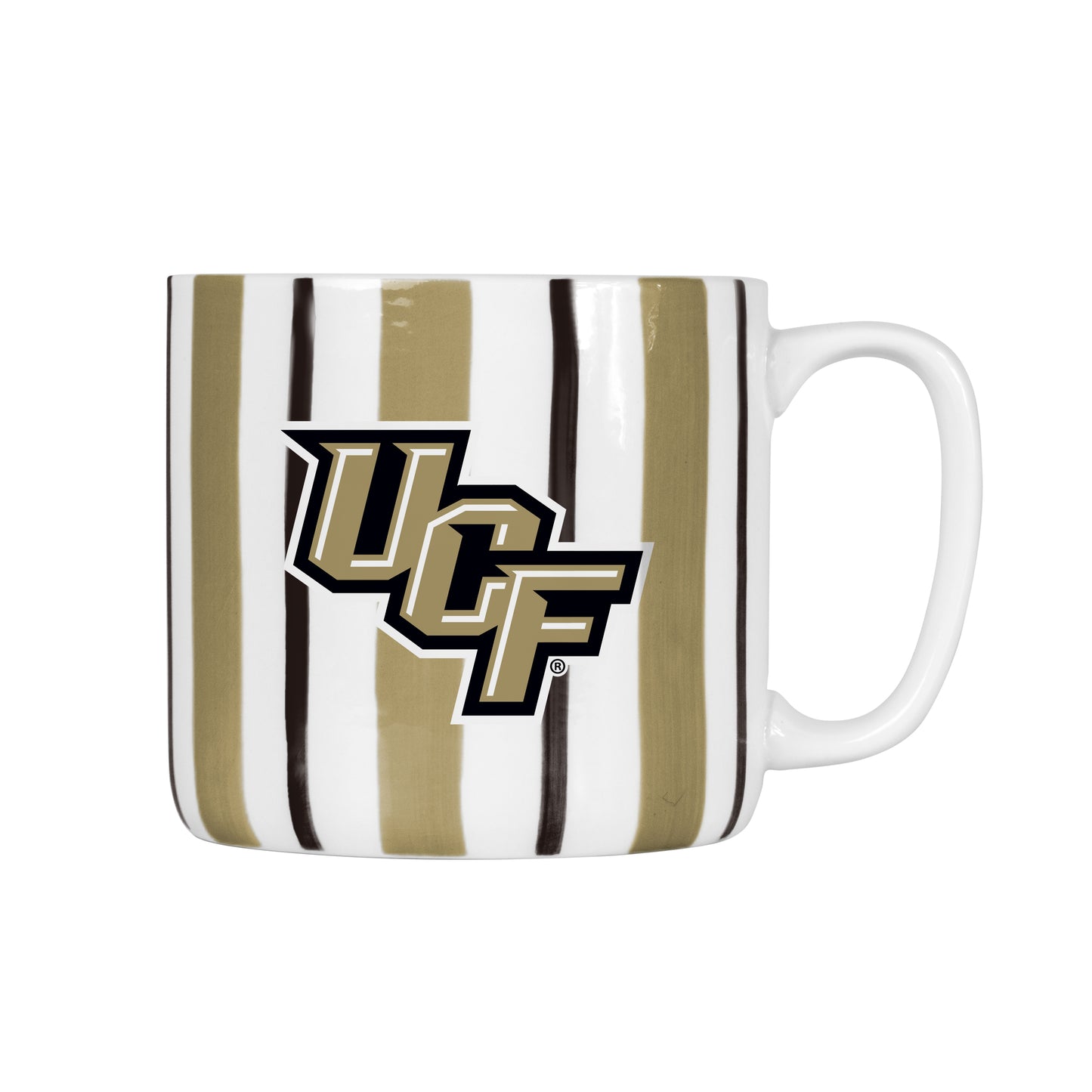 Central Florida 16oz Brushstroke Stripe Mug