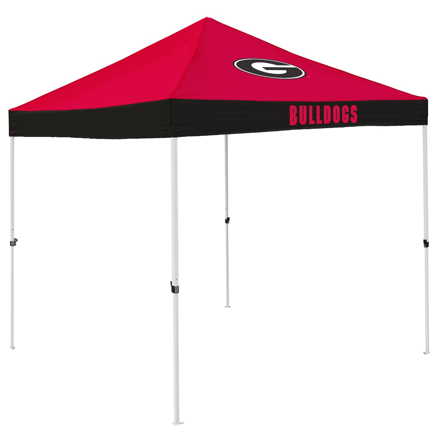 Georgia Economy Canopy