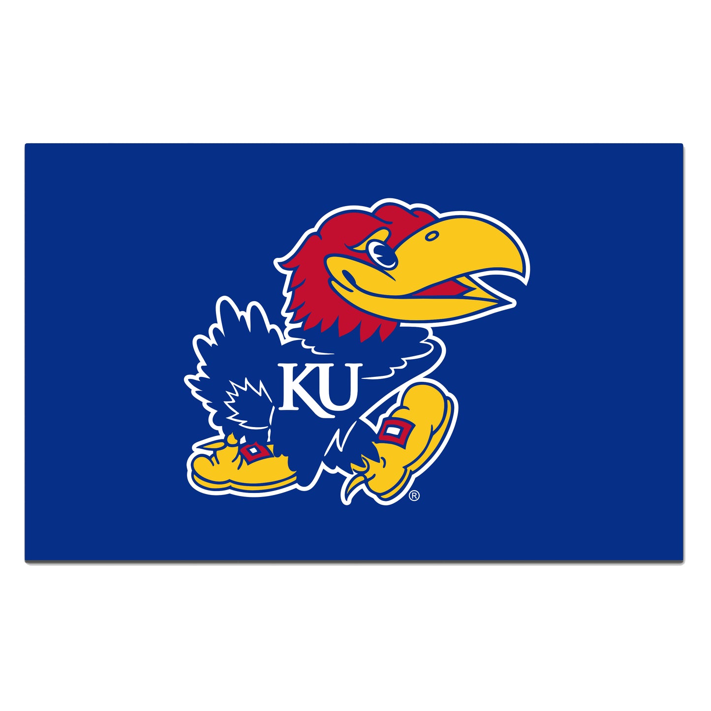 University of Kansas ROOKIE