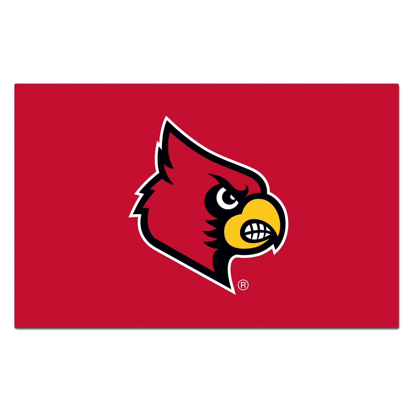 University of Louisville ROOKIE