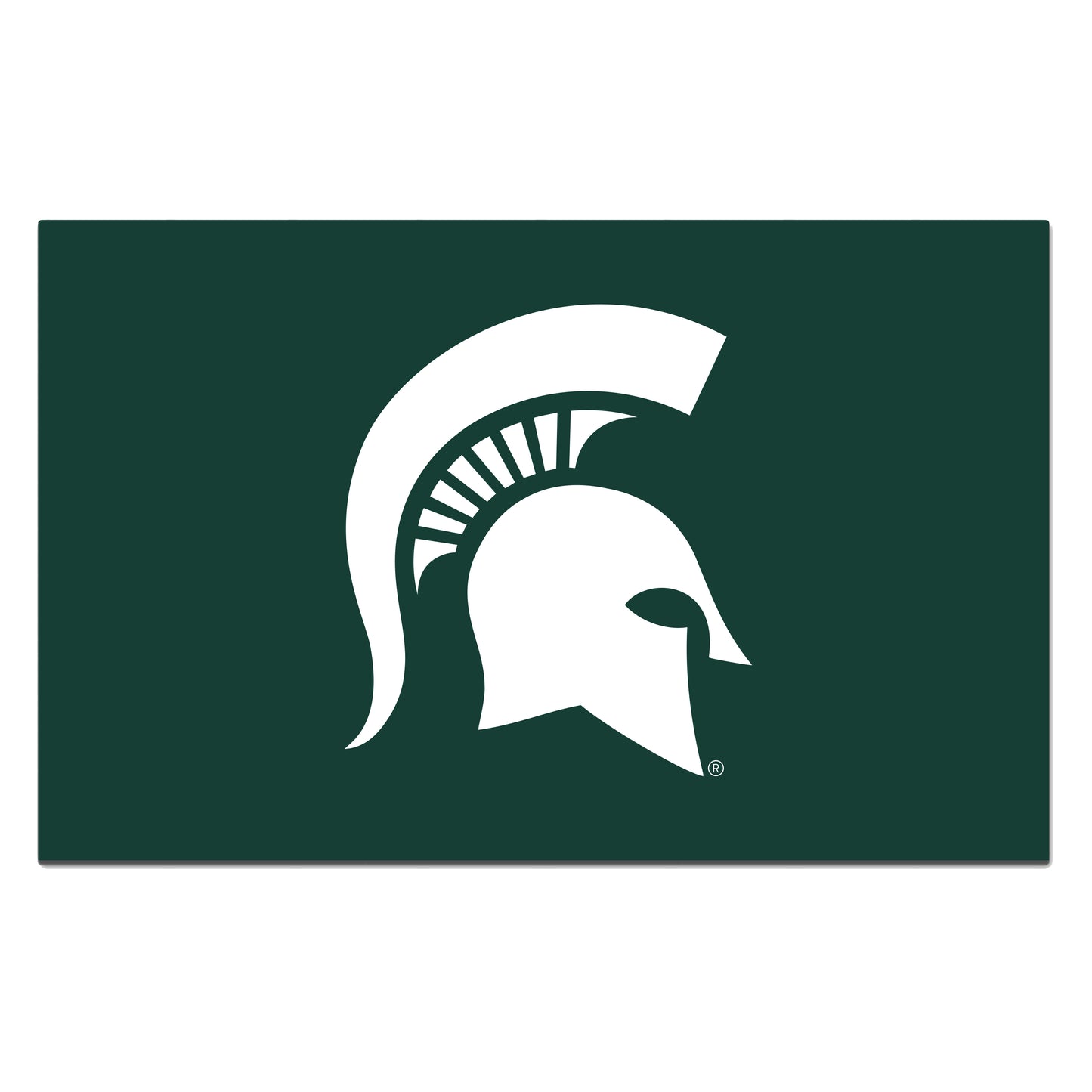 Michigan State University ROOKIE