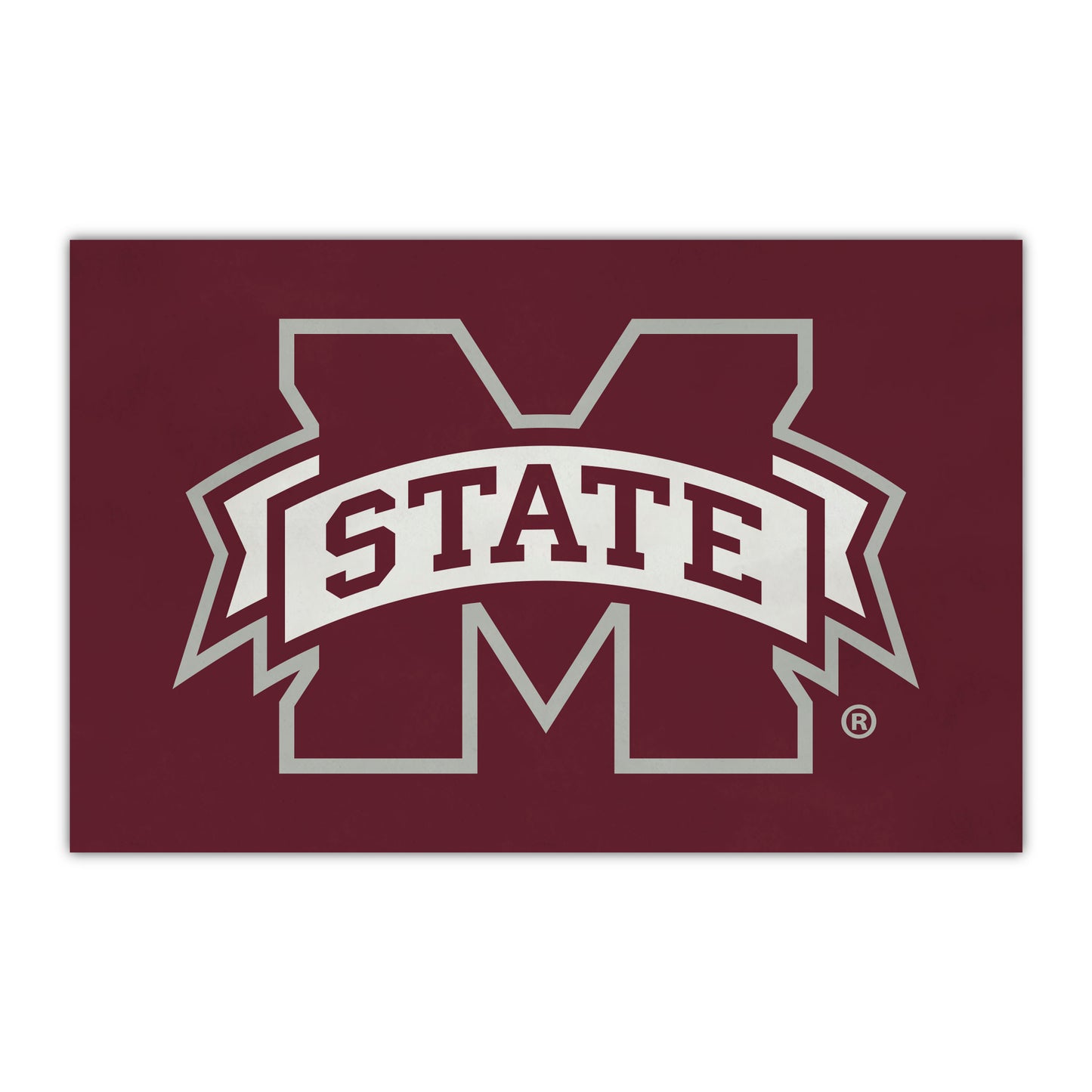 Mississippi State University HiDef Rookie
