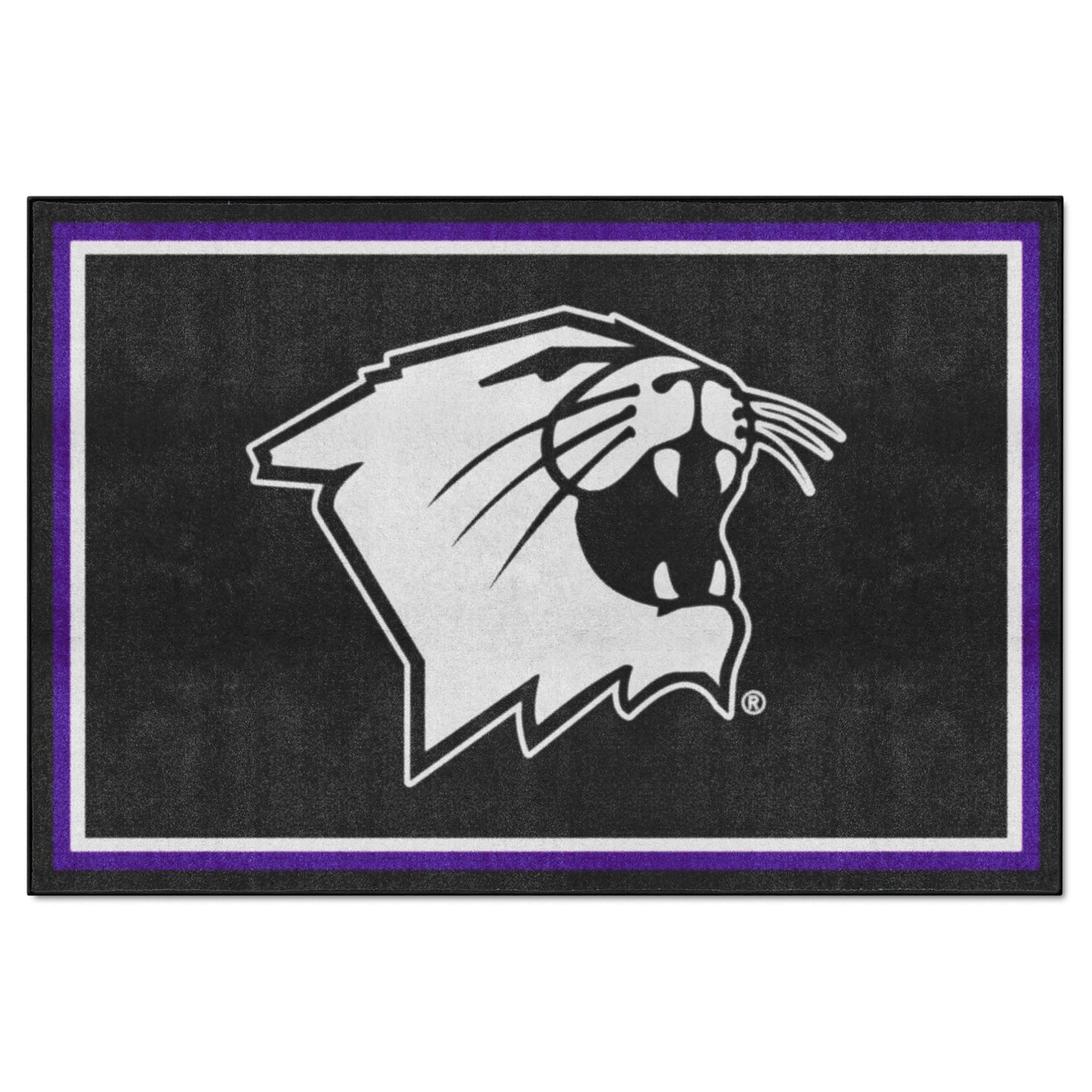 Northwestern University 5x8 Rug