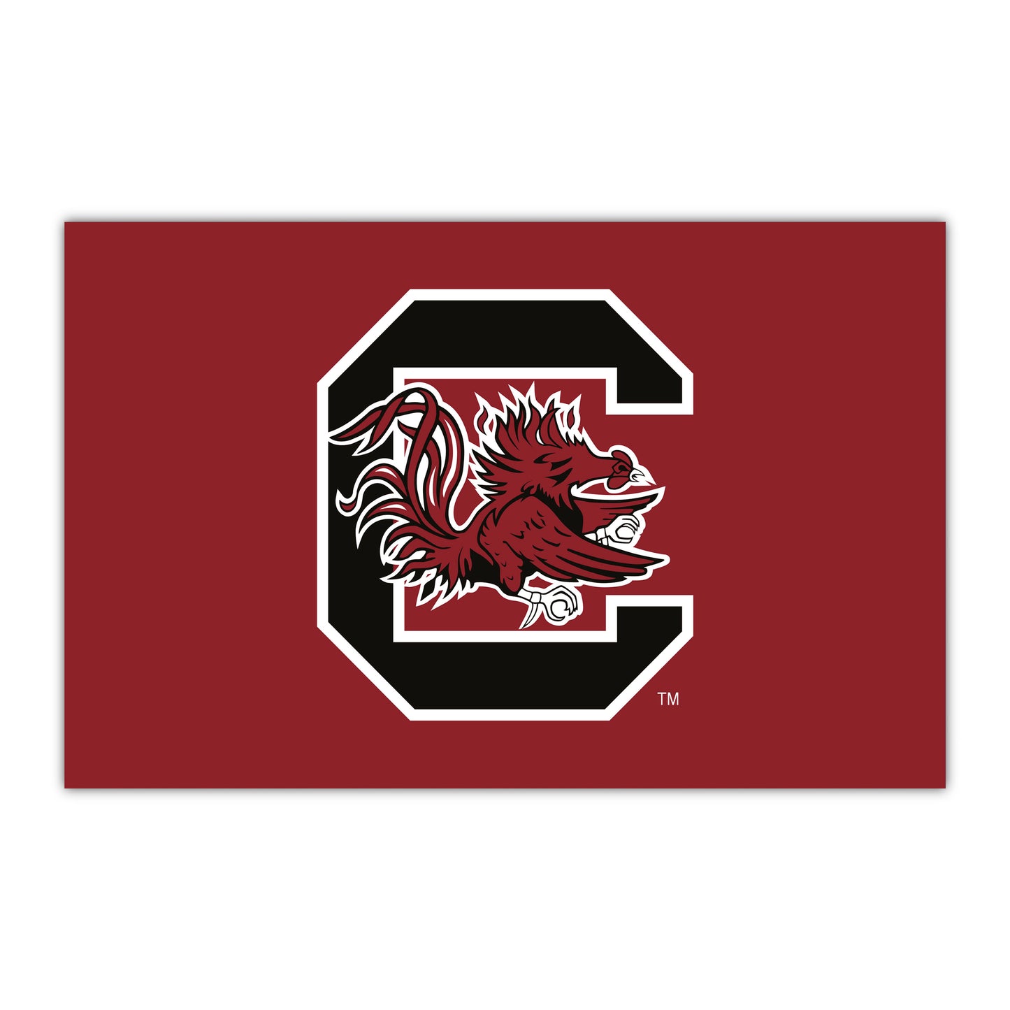 South Carolina HiDef Rookie