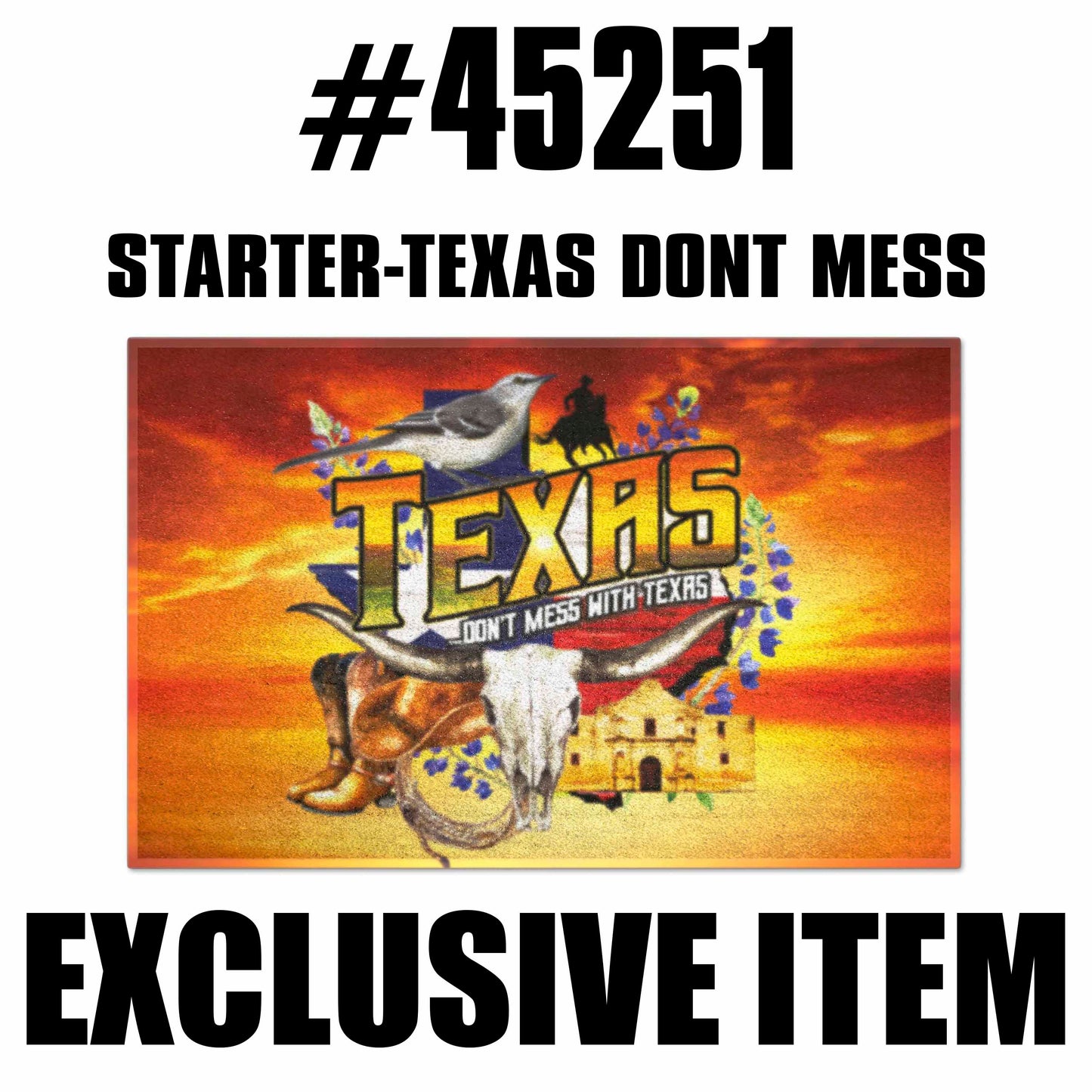 Texas Dont Mess 2 Floormat Starter