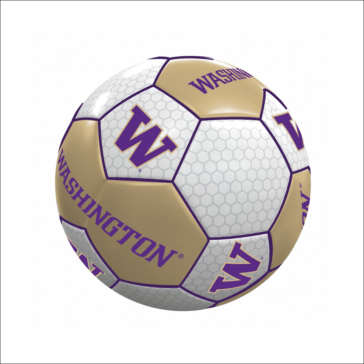 Washington Mini Soccer Ball