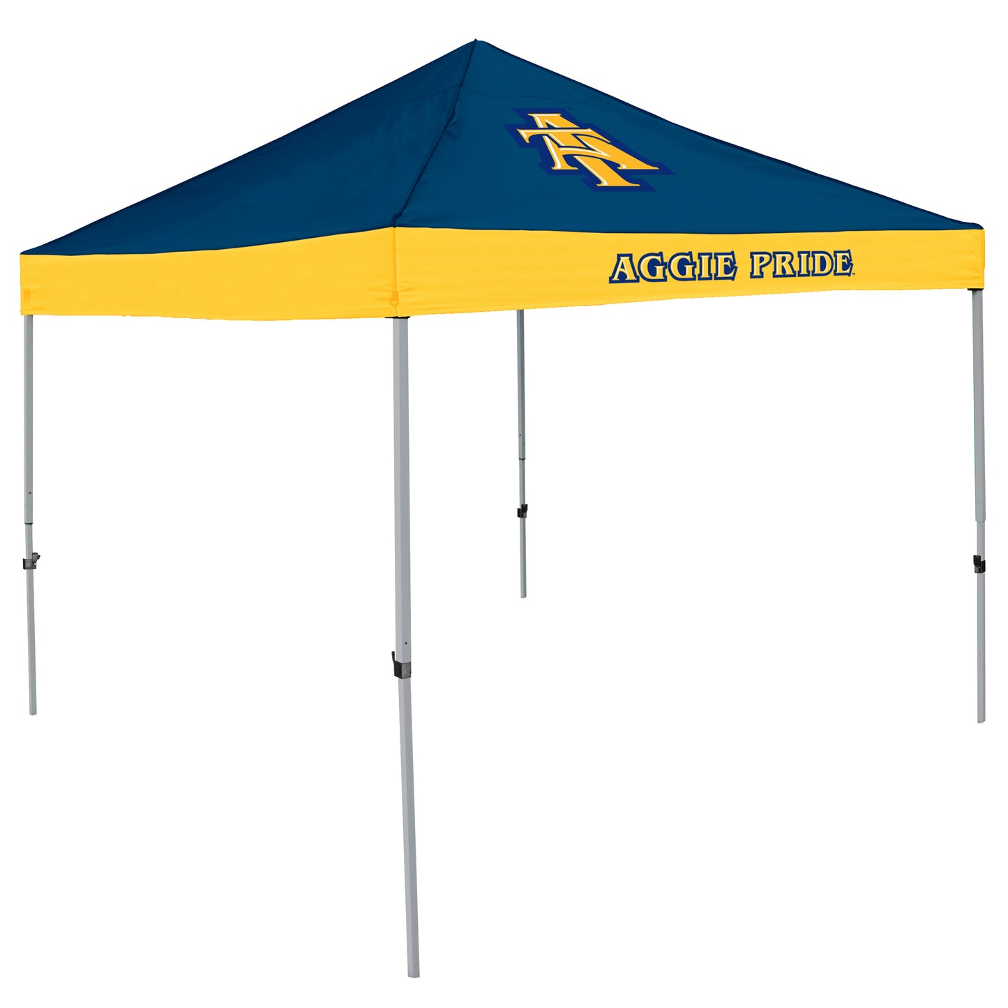 NC A&T State Economy Canopy