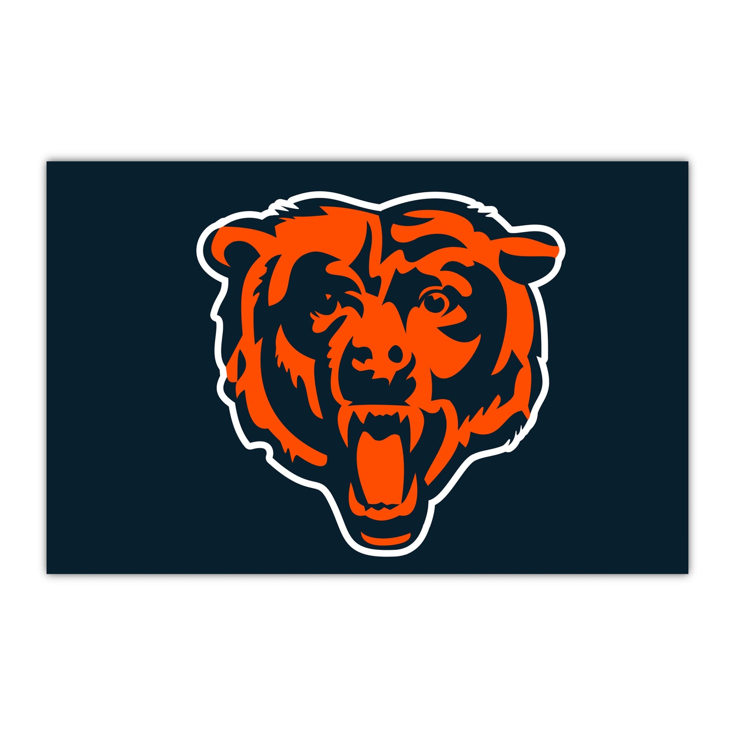 NFL - Chicago Bears HiDef Rookie