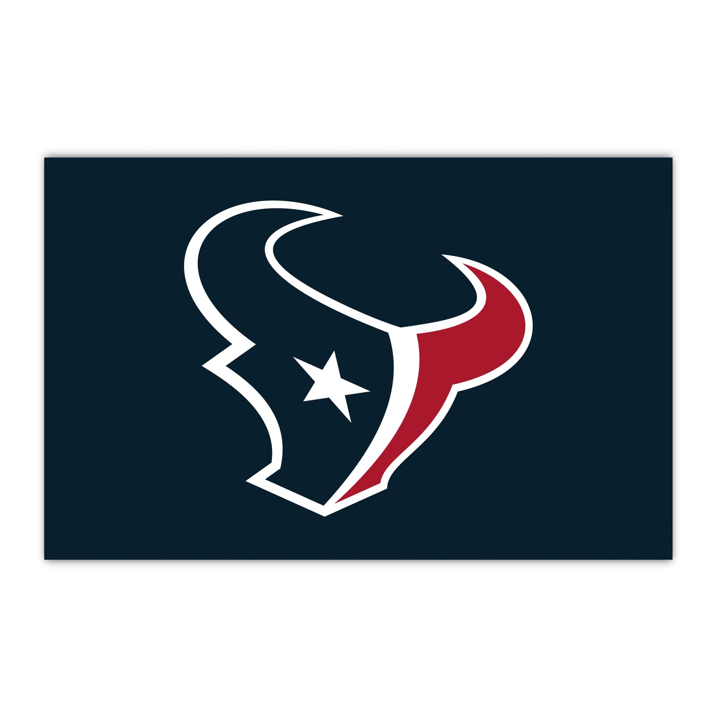 NFL - Houston Texans HiDef Rookie