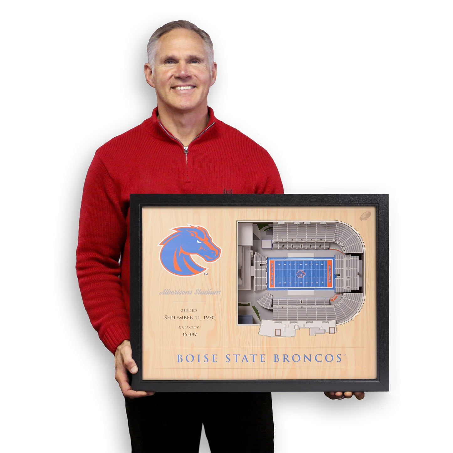 NCAA Boise State Broncos 25-Layer StadiumView Wallart