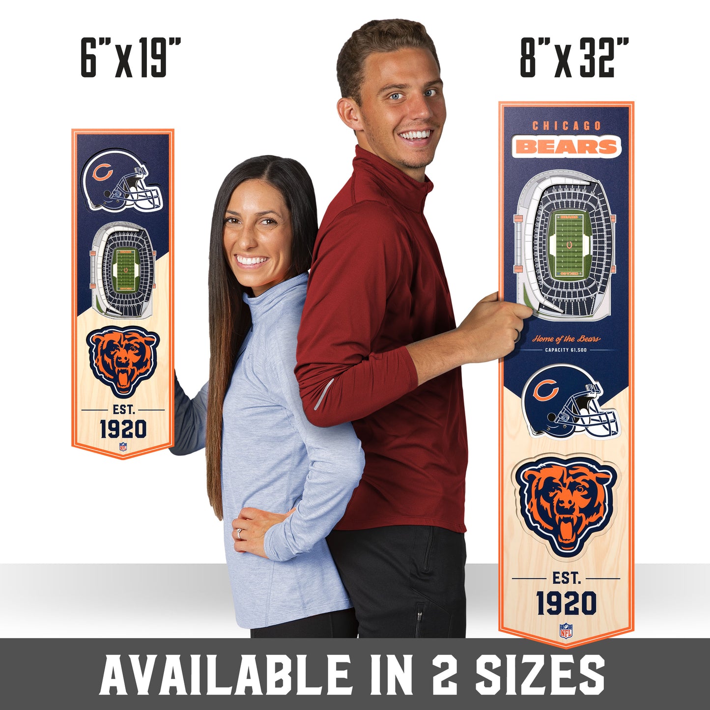 NFL Chicago Bears 3D Stadium Banner 8' X 32'