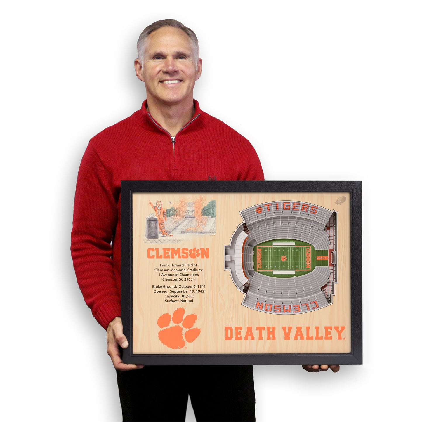 NCAA Clemson Tigers 25-Layer StadiumView Wallart