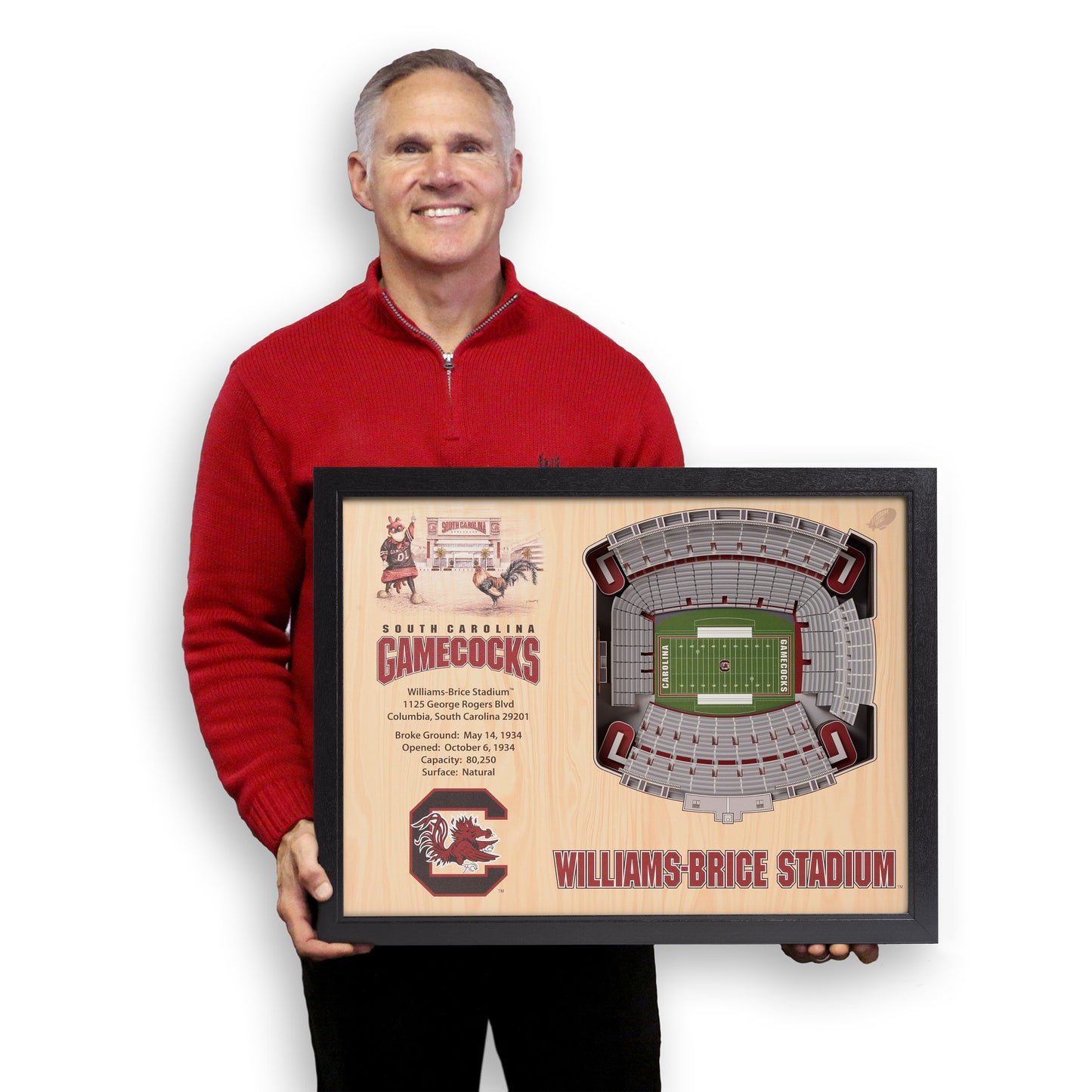 NCAA South Carolina Gamecocks 25-Layer StadiumView Wallart