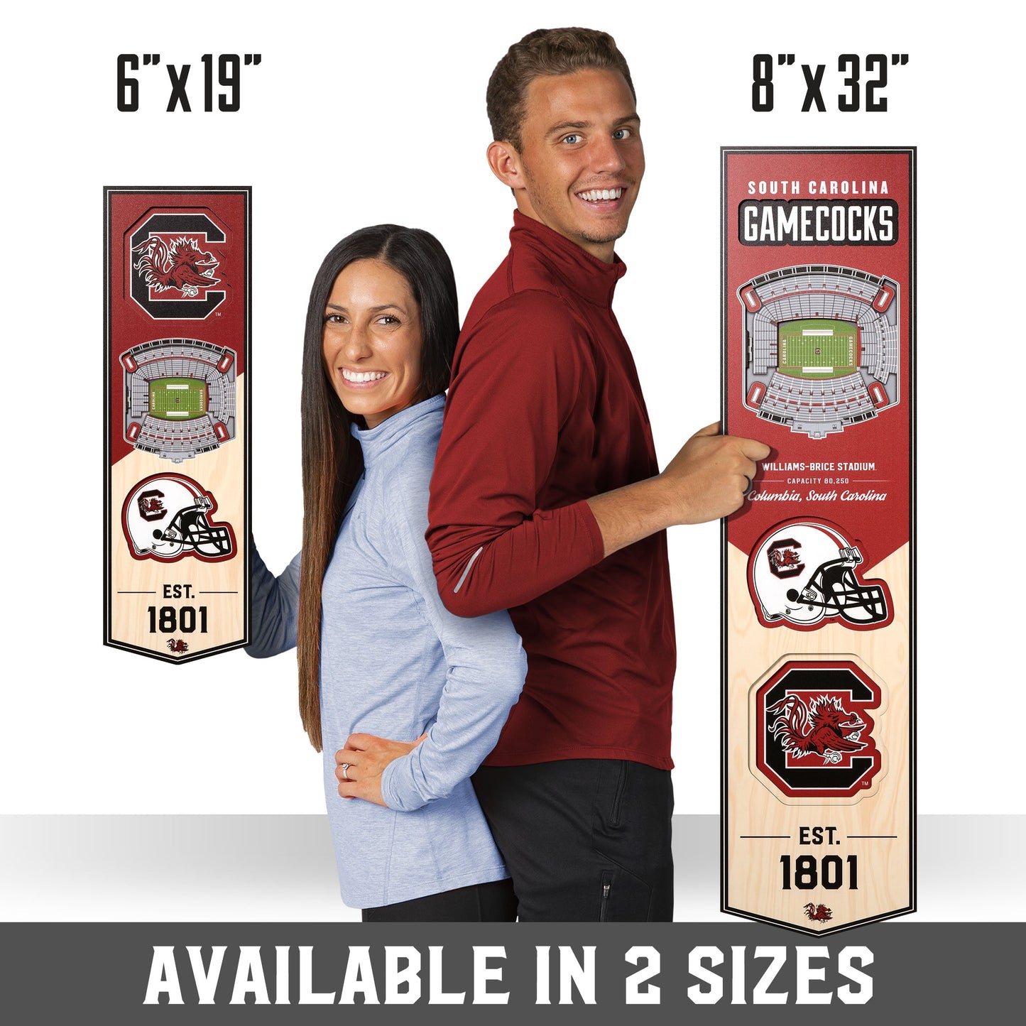 NCAA South Carolina Gamecocks 3D Stadium Banner 8' X 32'