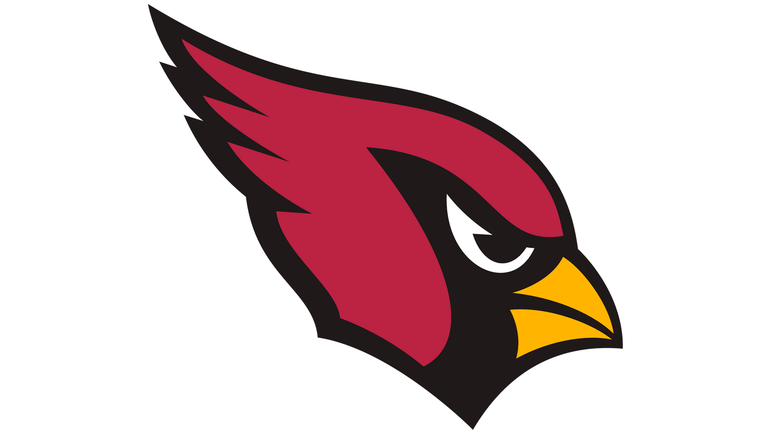 ARIZONA CARDINALS