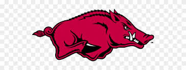 Arkansas Razorbacks