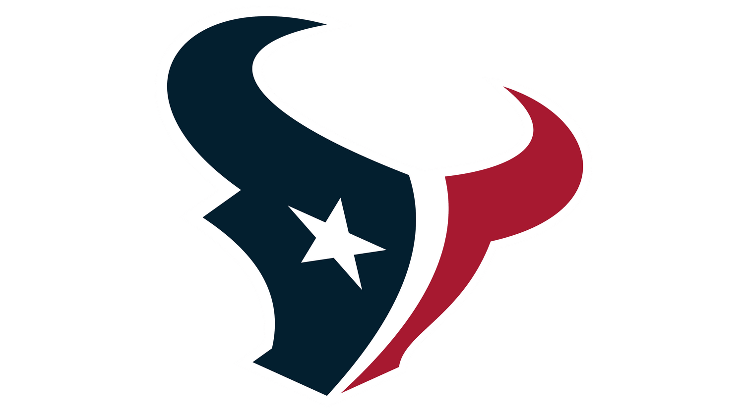 HOUSTON TEXANS