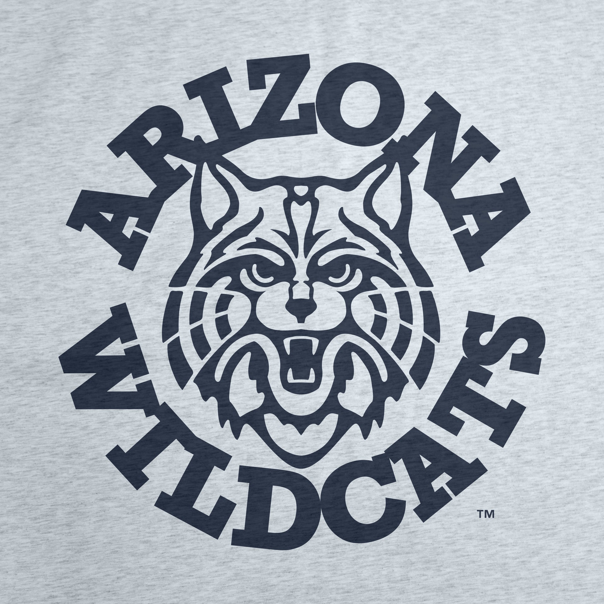 Arizona Vintage Athletic Gray Sublimated Sweatshirt Blanket