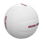 AZ State White Mini Volleyball