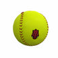 Arkansas Softball