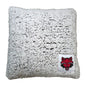 Arkansas State Frosty Throw Pillow