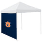 Auburn 9 x 9 Side Panel