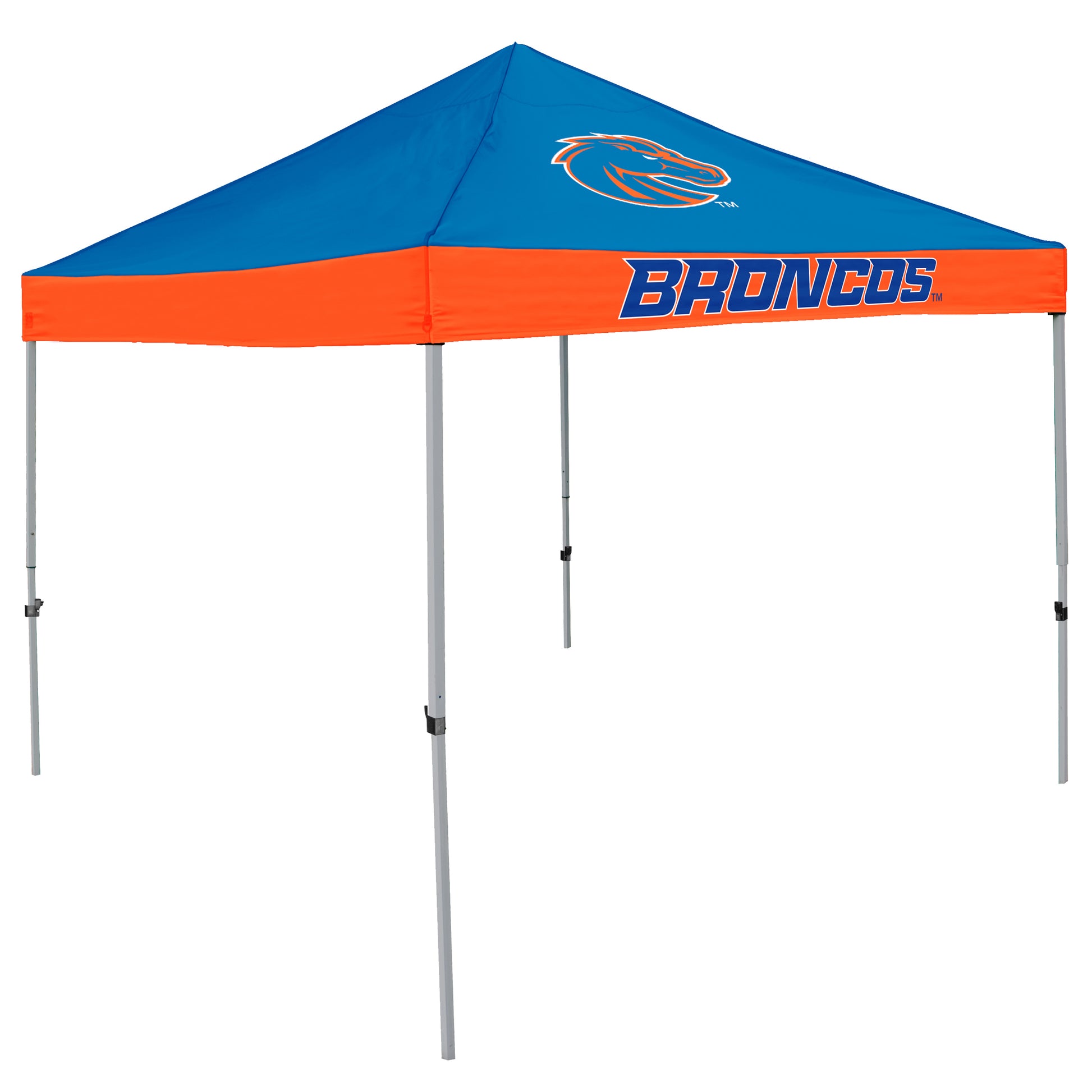 Boise State Economy Canopy