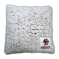 Boston College Campus Colors Frosty Throw Pillow