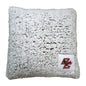 Boston College Frosty Throw Pillow