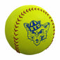 BYU Vault Softball