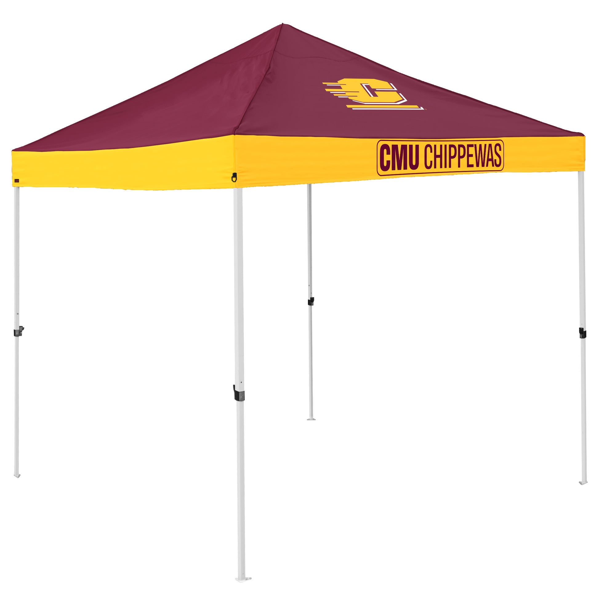 Central Michigan Economy Canopy