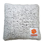 Clemson Campus Colors Frosty Throw Pillow