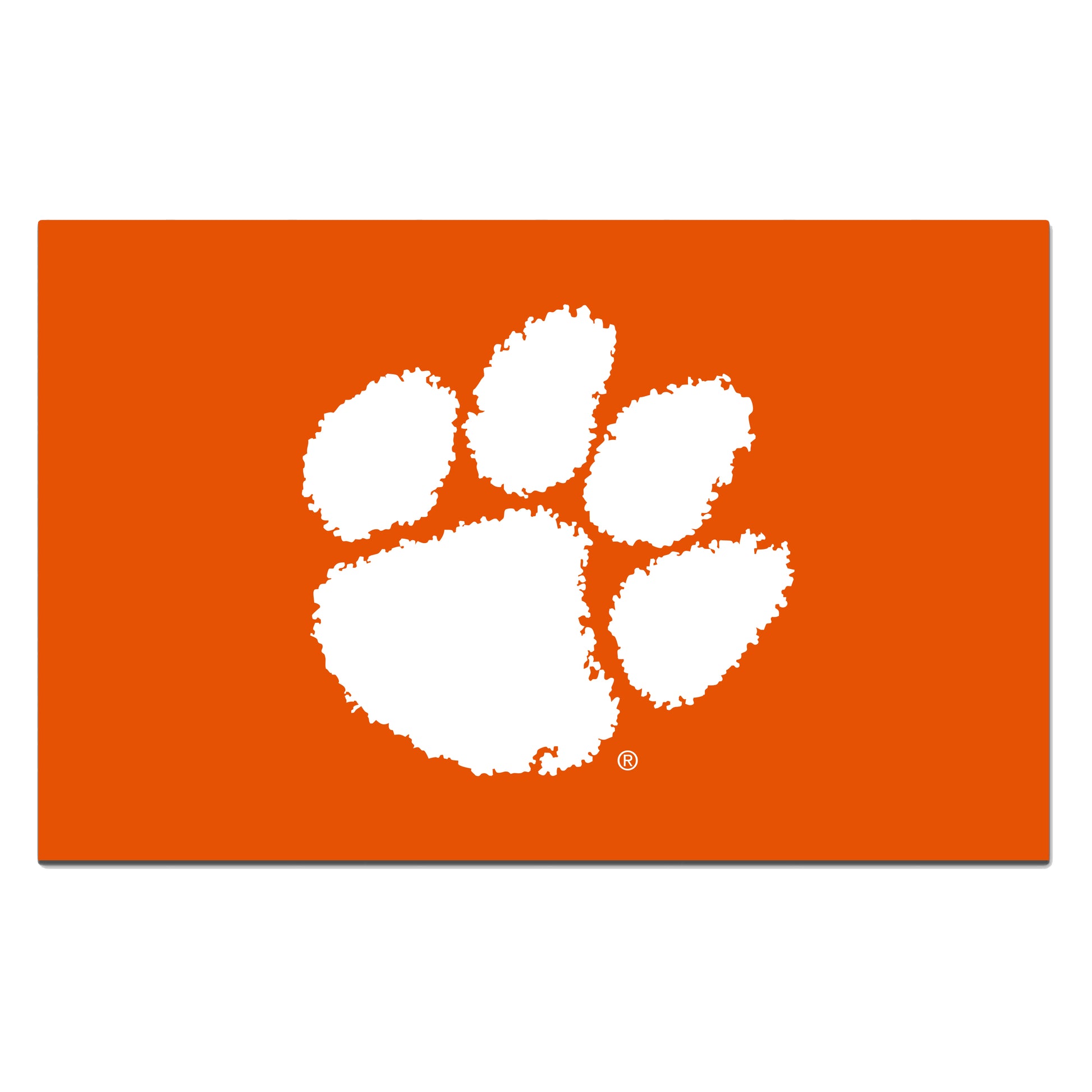 Clemson University ROOKIE
