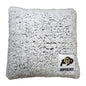 Colorado Campus Colors Frosty Throw Pillow