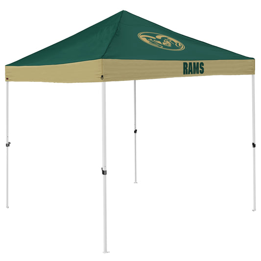 CO State Economy Canopy