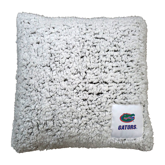 Florida Campus Colors Frosty Throw Pillow