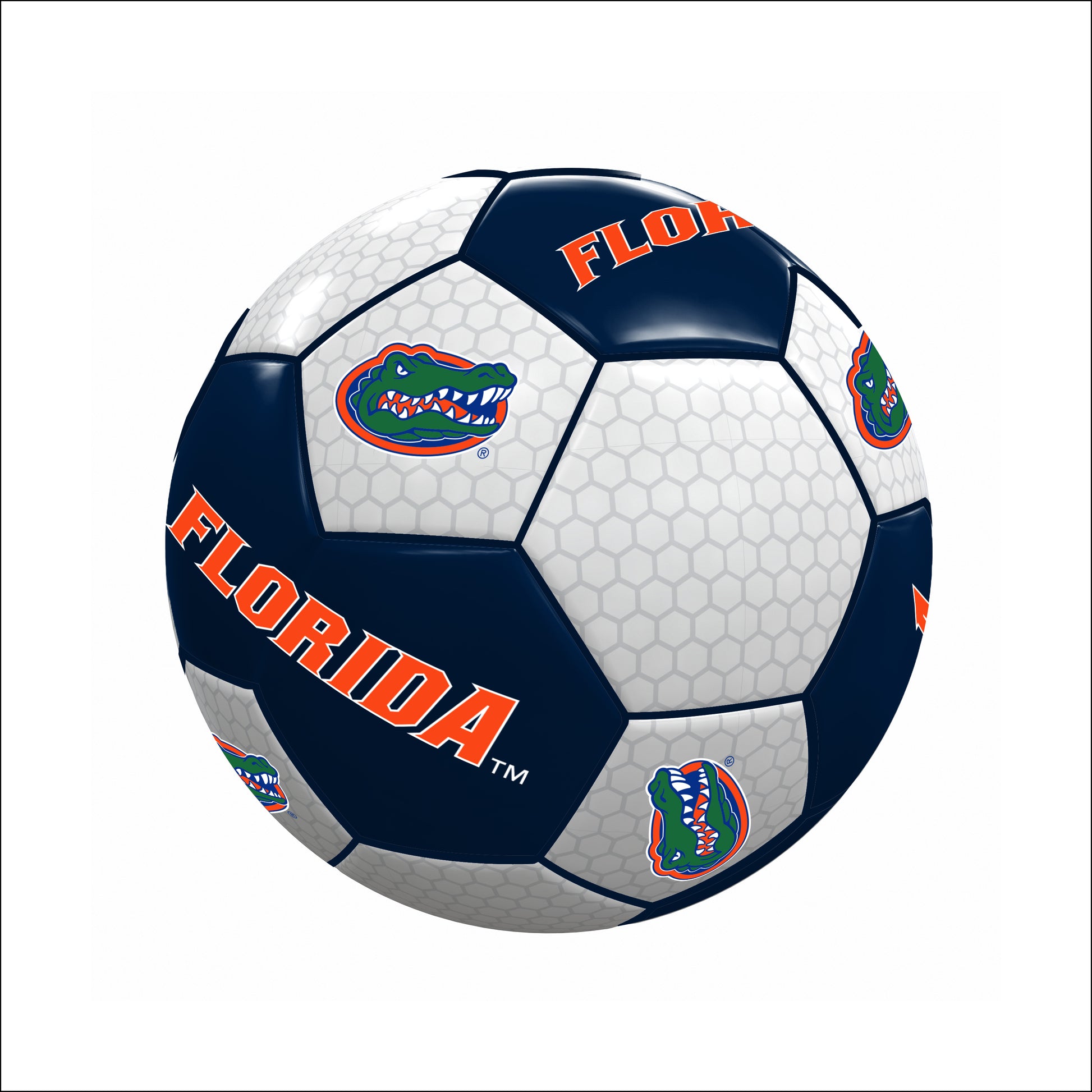 Florida Full Size Soccer Ball
