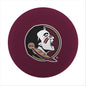 FL State Full Color High Bounce Ball