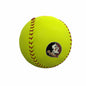 Florida State Softball