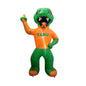Florida A&M Yard Inflatable Mascot