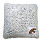 Florida A&M Frosty Throw Pillow