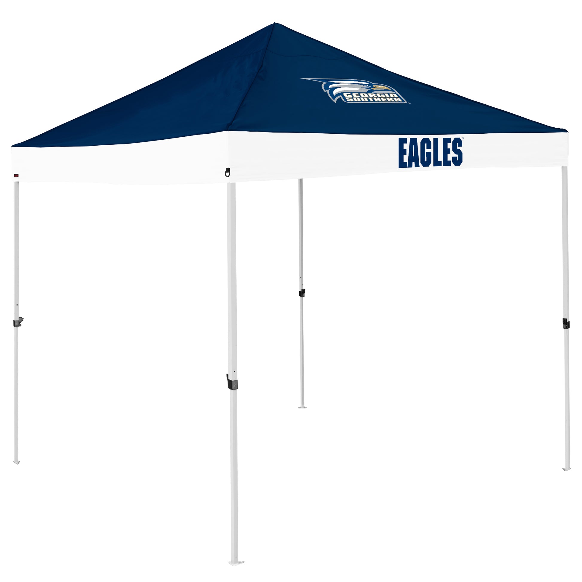 GA Southern Economy Canopy