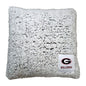 Georgia Campus Colors Frosty Throw Pillow