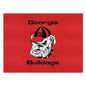 University of Georgia All-Star Mat