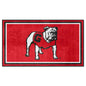 University of Georgia 3x5 Rug