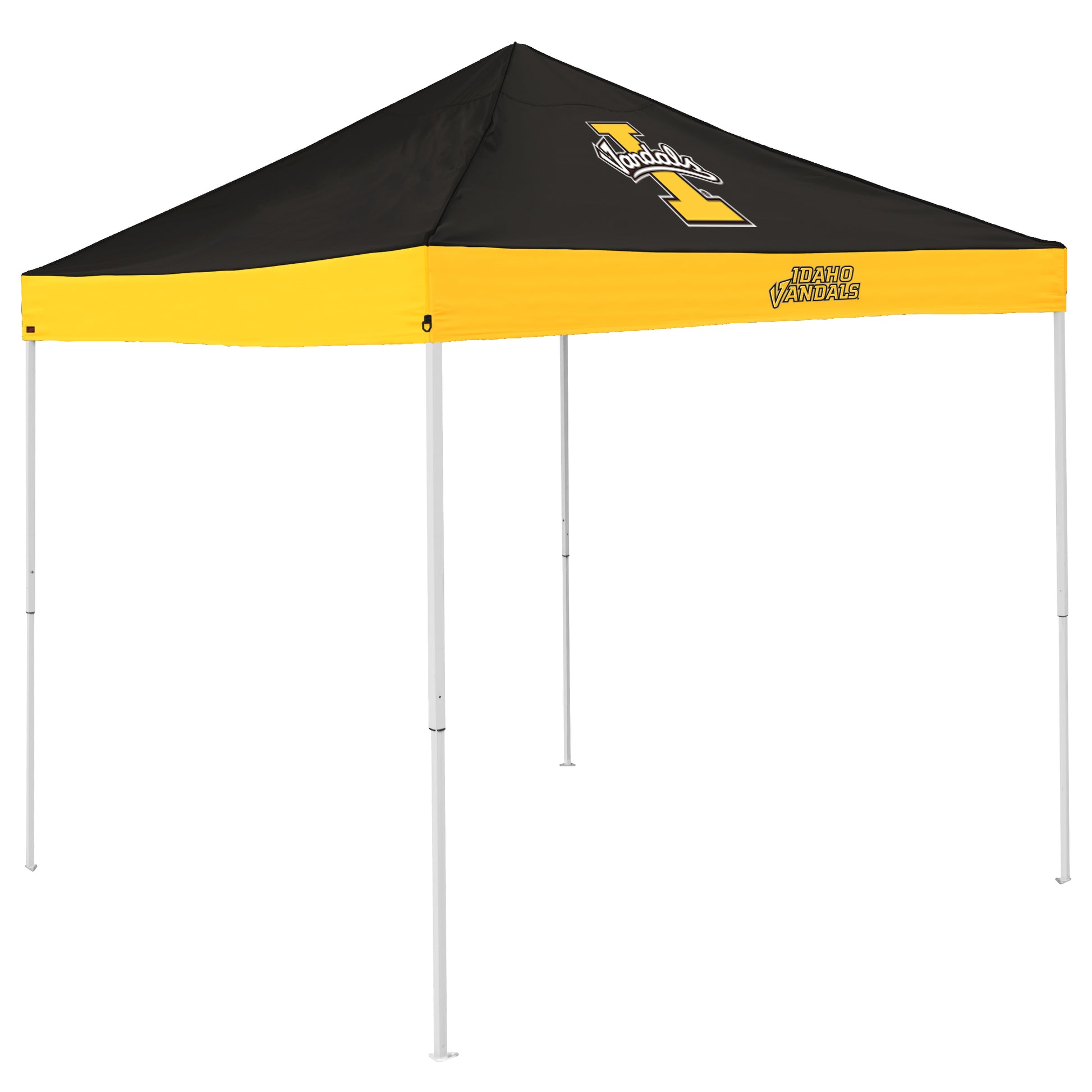Idaho Economy Canopy