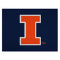 University of Illinois All-Star Mat