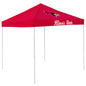 Illinois State Economy Canopy
